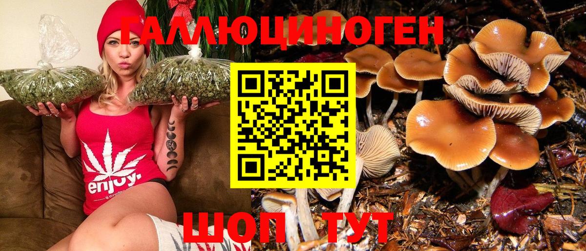 купить наркотик  Галлюциногенные грибы Magic Shrooms  Мытищи  Псилоцибиновые грибы мицелий 