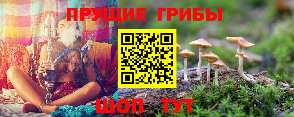 Мытищи  Галлюциногенные грибы MAGIC MUSHROOMS  где продают   Вход с VPN 